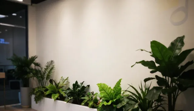如何有效提升成果转化率?关键因素解析
